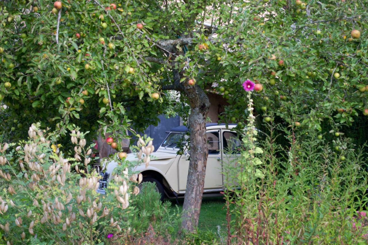 B&B Le Paradis Buxerulles Exteriör bild